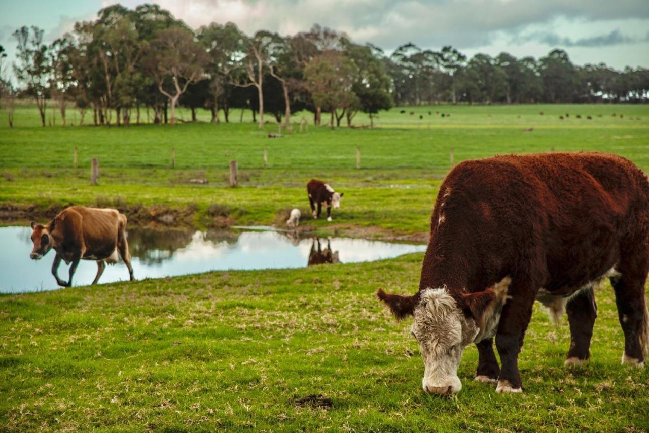 Discovery Parks Margaret River Cowaramup エクステリア 写真